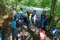 Waldjugendspiele 2025- 3